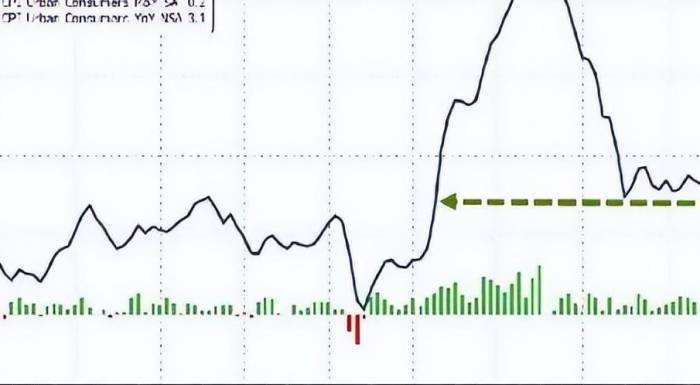 Make 100B! Top Stock Guru's Picking Tips. Global Rate Cuts Looming!