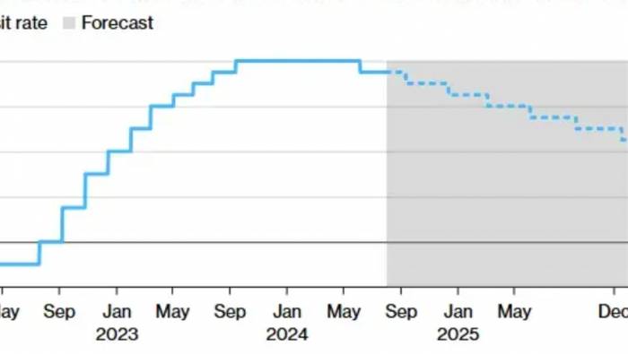 Global Rate Cuts Accelerate: ECB May Cut 6 Times Next Year